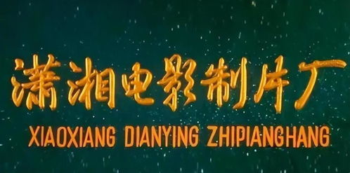 瀟灑名導 張黎,人如其名,五段婚姻都失敗,前任個個大明星