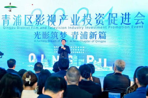 推動 青浦影視 融入 上海電影 品牌版圖 2024年青浦區影視產業投資促進活動舉行